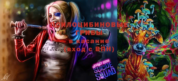 первитин Покачи