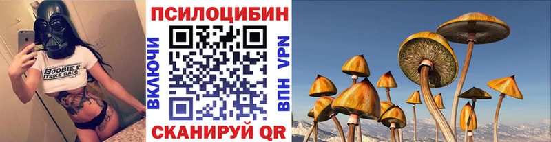 Псилоцибиновые грибы мицелий  МЕГА как войти  Тарко-Сале  где можно купить  